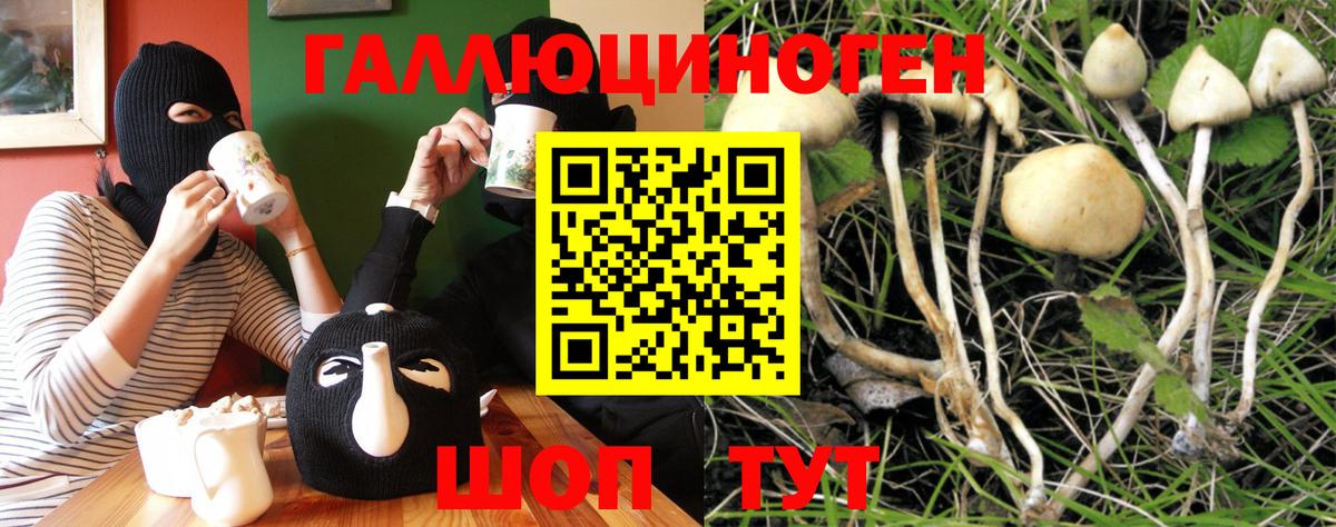 купить  цена  Галлюциногенные грибы Psilocybine cubensis  Вход с VPN  Волжский 
